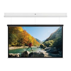 10146802, Projecta Screen Surface Assembly Descend