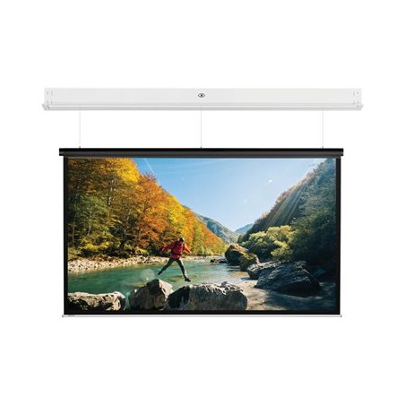10146802, Projecta Screen Surface Assembly Descend
