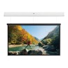 10146802, Projecta Screen Surface Assembly Descend