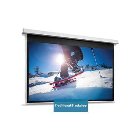 10146805, Projecta Screen Surface Assembly Descend