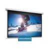 10146805, Projecta Screen Surface Assembly Descend