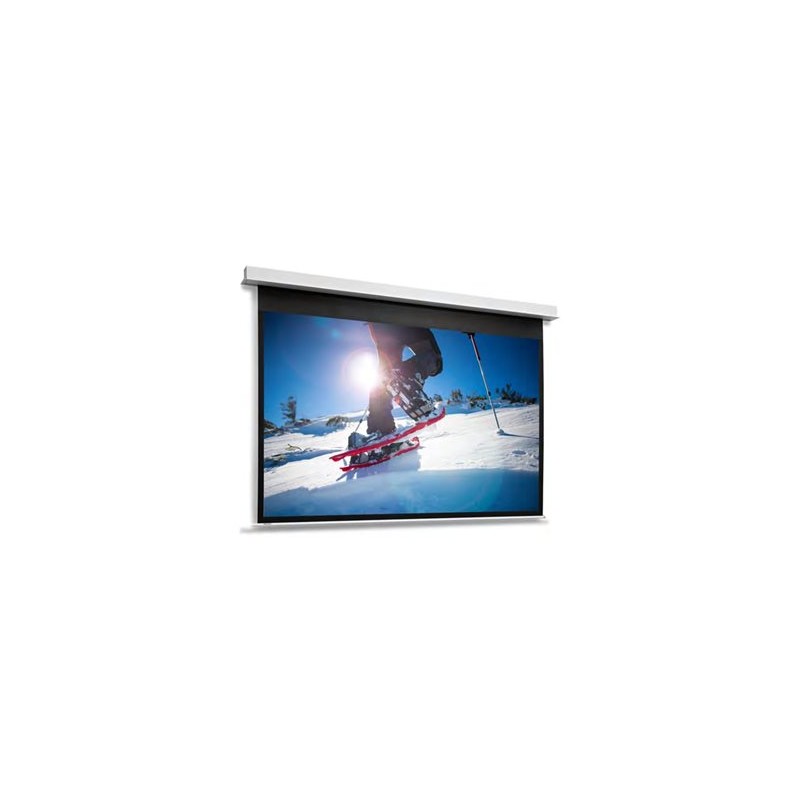 10146804, Projecta Screen Surface Assembly Descend