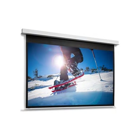 10146804, Projecta Screen Surface Assembly Descend