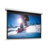 10146804, Projecta Screen Surface Assembly Descend