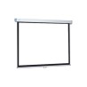 Projecta ProScreen 107x190 Matte White