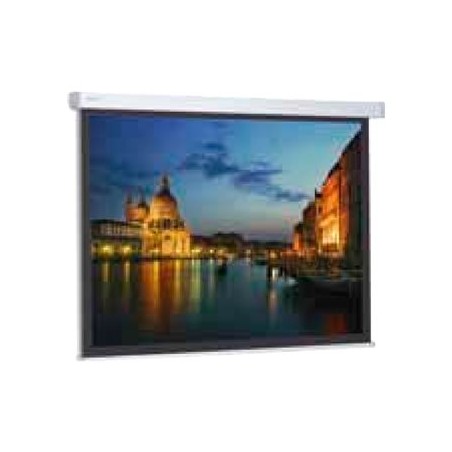 Projecta ProScreen 143x190 Matte White_W