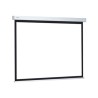 Projecta ProScreen 95x168 Matte White_Wi