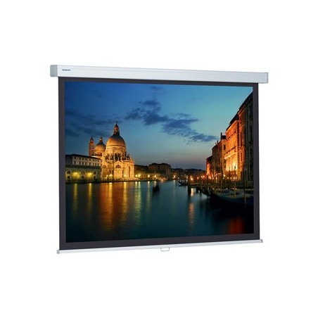 Projecta ProScreen 118x210 Matte White_W