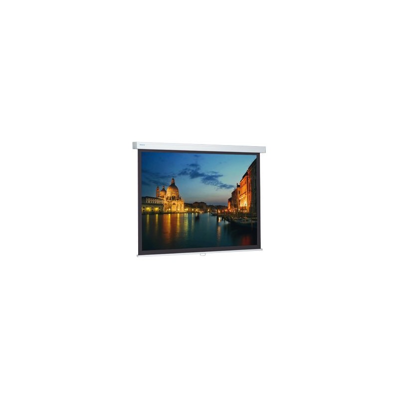 Projecta ProScreen CSR 173x230 Matte Whi
