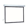 Projecta Hapro Manual Classic 210x210 Ma