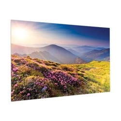 10600846, Projecta FullVision 188x300 HD Progressi