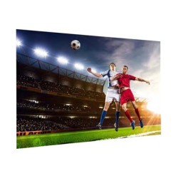 10600842, Projecta FullVision 138x220 HD Progressi