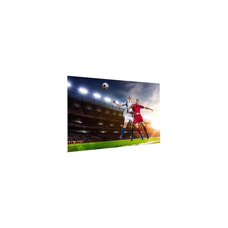 10600842, Projecta FullVision 138x220 HD Progressi