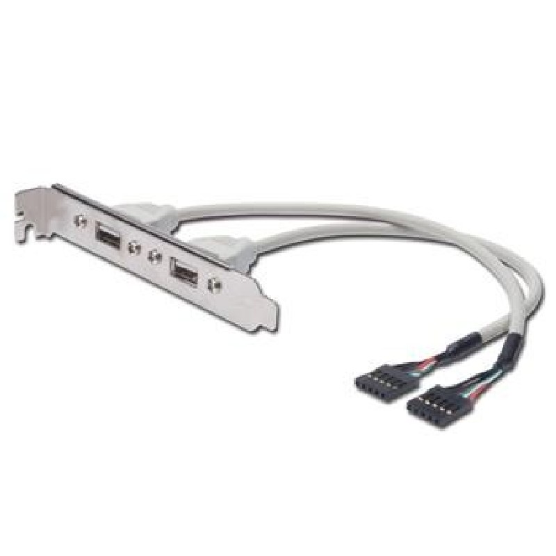 PremiumCord USB vývod z MB na záslepku, 2x USB-A