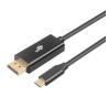 TB kabel USB-C - DisplayPort 2m