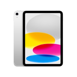 11-INCH IPAD WI-FI+CELL 256GB/SILVER