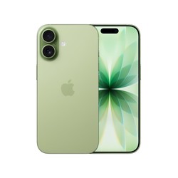 Apple iPhone 17 256GB Sage/