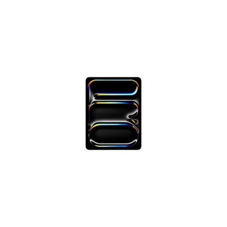 IPAD PRO 13 WIFI 2TB STD/SPACE BLACK