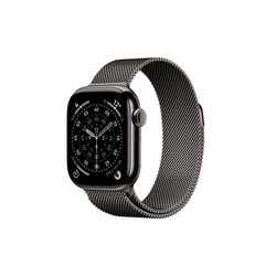 Apple Watch 11 42 Slate TI SL/ML Cel-Fdn