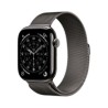 Apple Watch 11 46 SL TI SL ML/SM Cel-Fdn