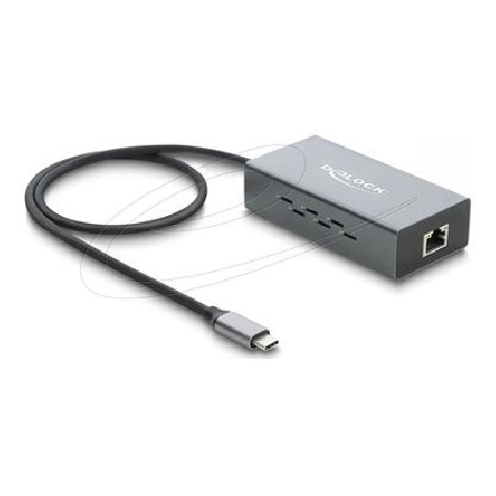 USB Type-C Network Adapter Gigabit LAN 1