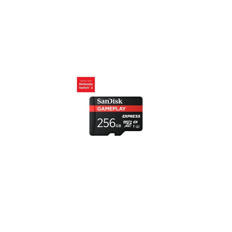Express microSD 256GB GamePlay 880MB/s
