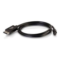 2m Mini-DisplayPort to DP Cable-Black