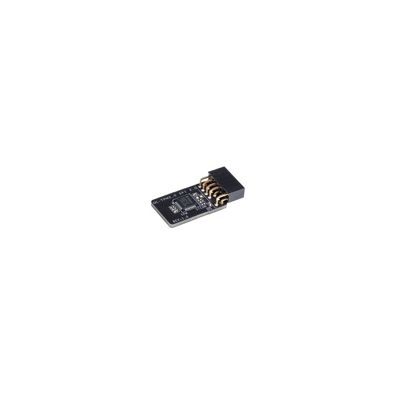 GIGABYTE GC-TPM2.0 SPI 2.0, SPI bus