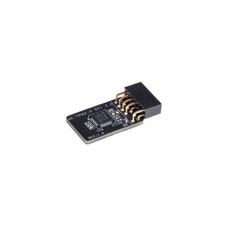 GIGABYTE GC-TPM2.0 SPI 2.0, SPI bus