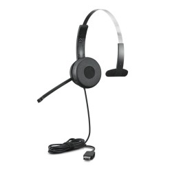 Lenovo 100 Mono USB Headset