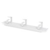 Digitus 254 mm (10 ") 1U panel pro správu kabelů 3x kabelové kroužky, 44x254x60 mm, šedá (RAL 7035) DN10ORG1U