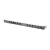 DIGITUS 19" PDU, 1U hliník, SCHUKO - 12x CEE 7/4, jistič