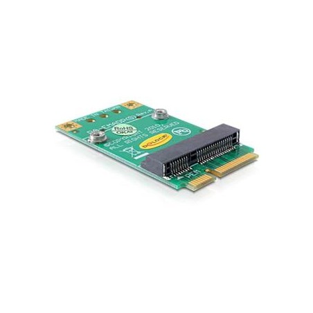 Delock Converter Mini PCI Express half-size full-size