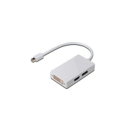 Digitus DisplayPort splitter cable, miniDP - DP+HDMI+DVI