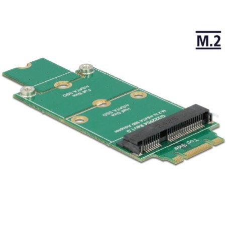 Delock Adapter mSATA M.2 NGFF