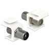 Delock Keystone Module IEC plug F jack