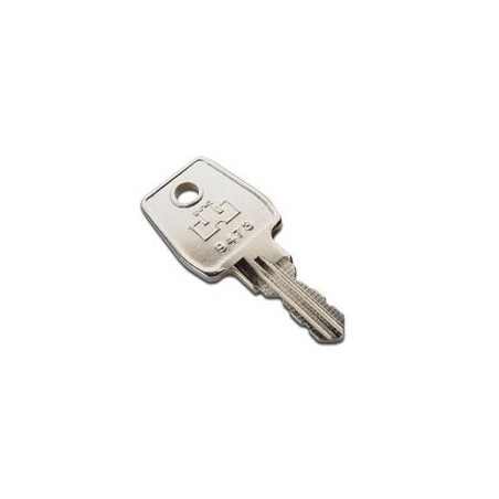 Digitus Key for lock Network-, Server- and wall mounting cabinets Key Nr. 9473