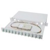 Digitus Fiber Optic Sliding Splice Box, 1U, Equipped 12x SC duplex, incl. M 25 Screw, Splice Cassette Color Pigtails OM3