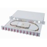 Digitus Fiber Optic Sliding Splice Box, 1U, Equipped 12x SC duplex, incl. M 25 Screw, Splice Cassette Color Pigtails OM4