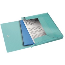 Esselte box na spisy Colour'Ice, modrý 626259