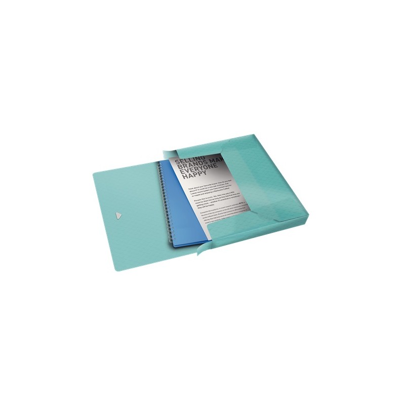 Esselte box na spisy Colour'Ice, modrý 626259