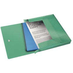 Esselte box na spisy Colour'Ice, zelený 626260