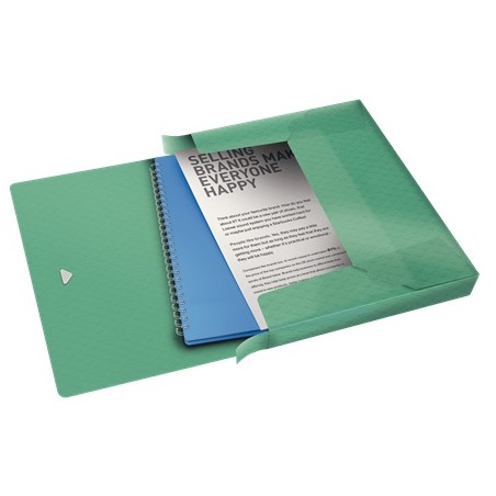 Esselte box na spisy Colour'Ice, zelený 626260