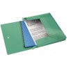 Esselte box na spisy Colour'Ice, zelený 626260