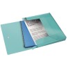 Esselte box na spisy Colour'Ice, modrý 626264
