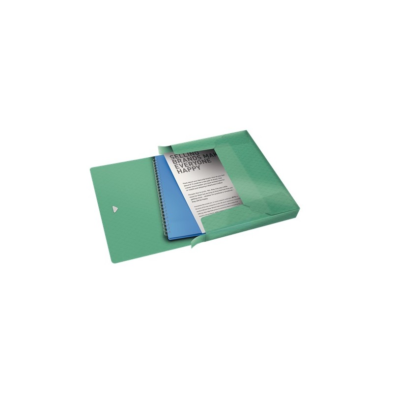 Esselte box na spisy Colour'Ice, zelený 626265