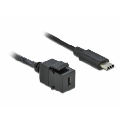Delock Keystone modul USB 3.0 C samice USB 3.0 C samec s kabelem