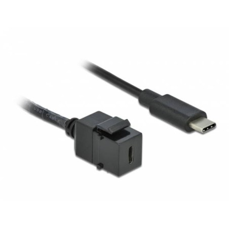 Delock Keystone modul USB 3.0 C samice USB 3.0 C samec s kabelem