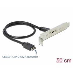 Delock USB 3.1 Gen 2 Záslepka slotu s portem 1 x USB Type-C