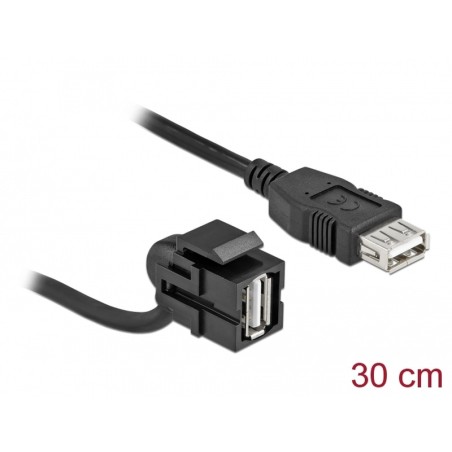 Delock Keystone modul USB 2.0 A samice 110° USB 2.0 A samice s kabelem černá